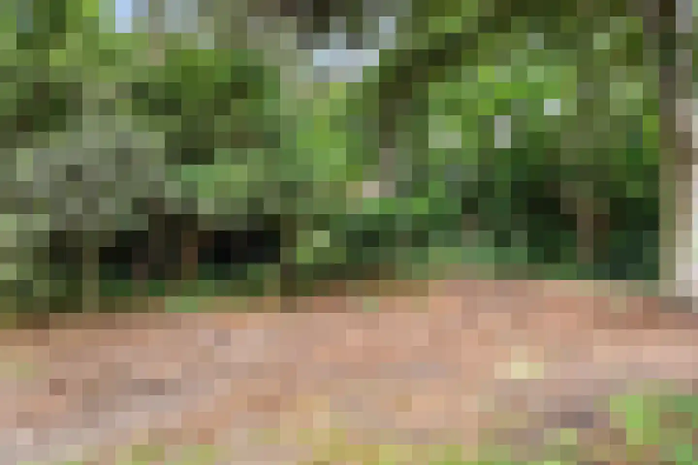 Bennekomseweg 23 Heelsum thumbnail 36