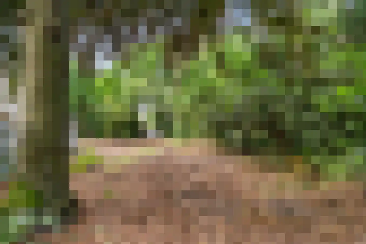 Bennekomseweg 23 Heelsum thumbnail 38