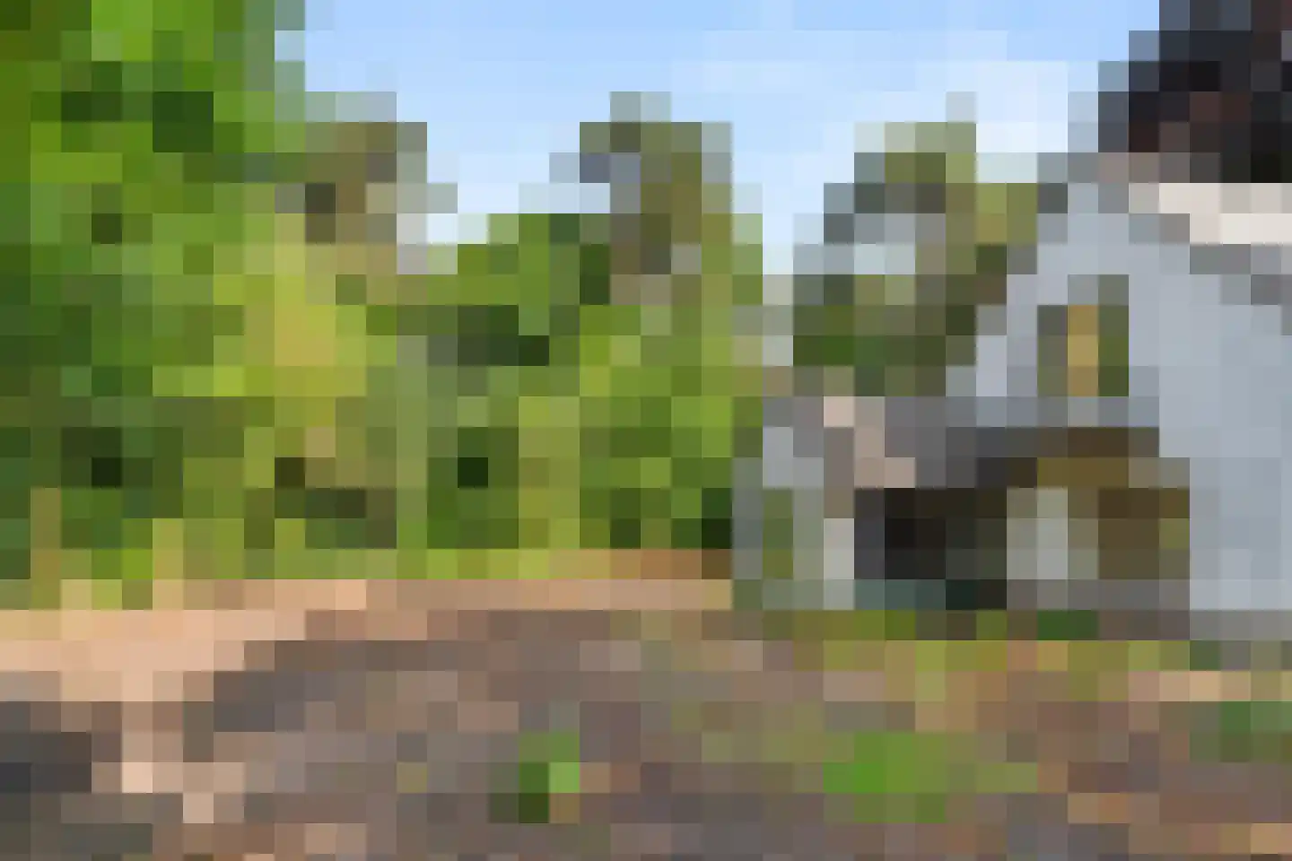 Bennekomseweg 23 Heelsum thumbnail 6