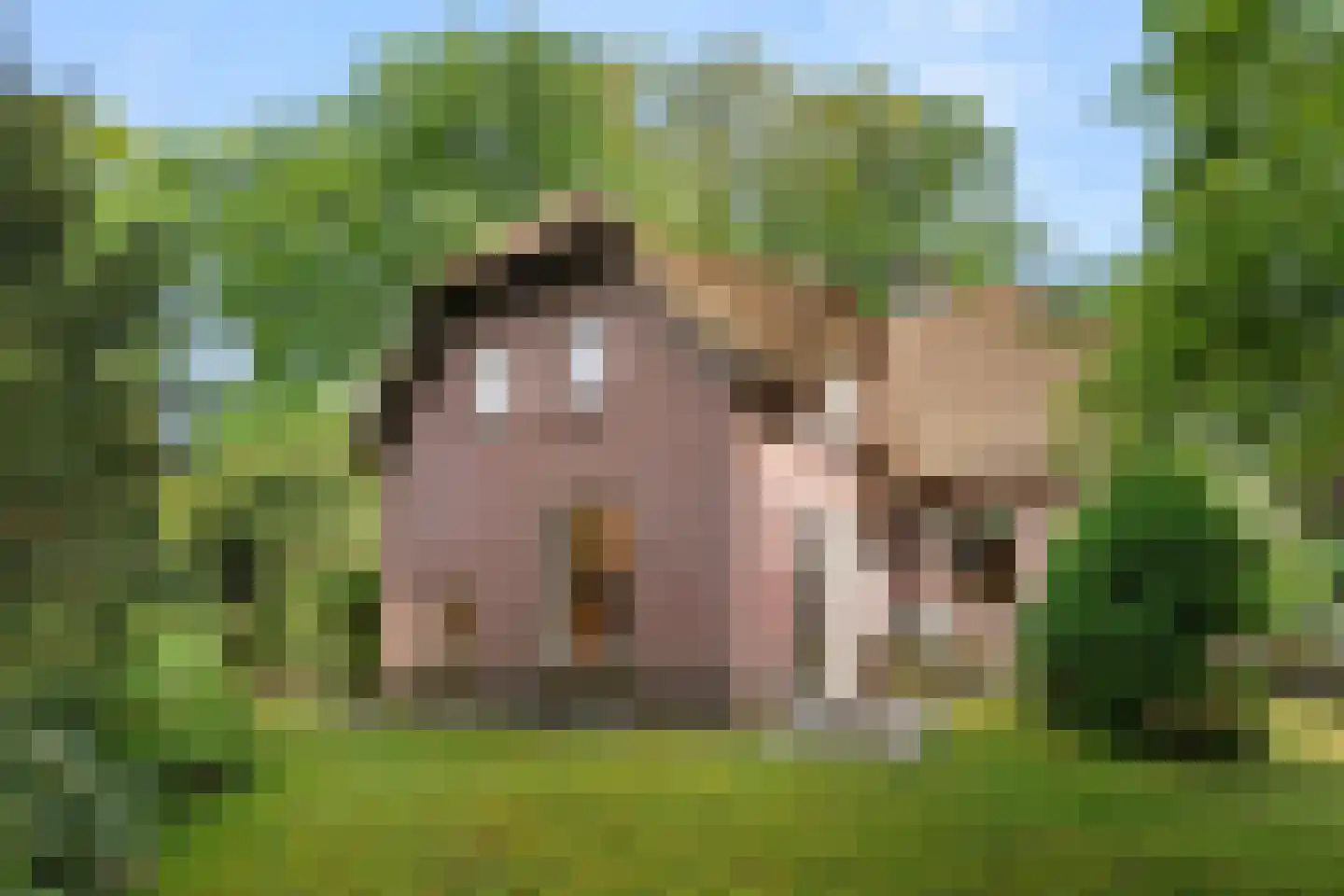 Bennekomseweg 4 Heelsum thumbnail 11