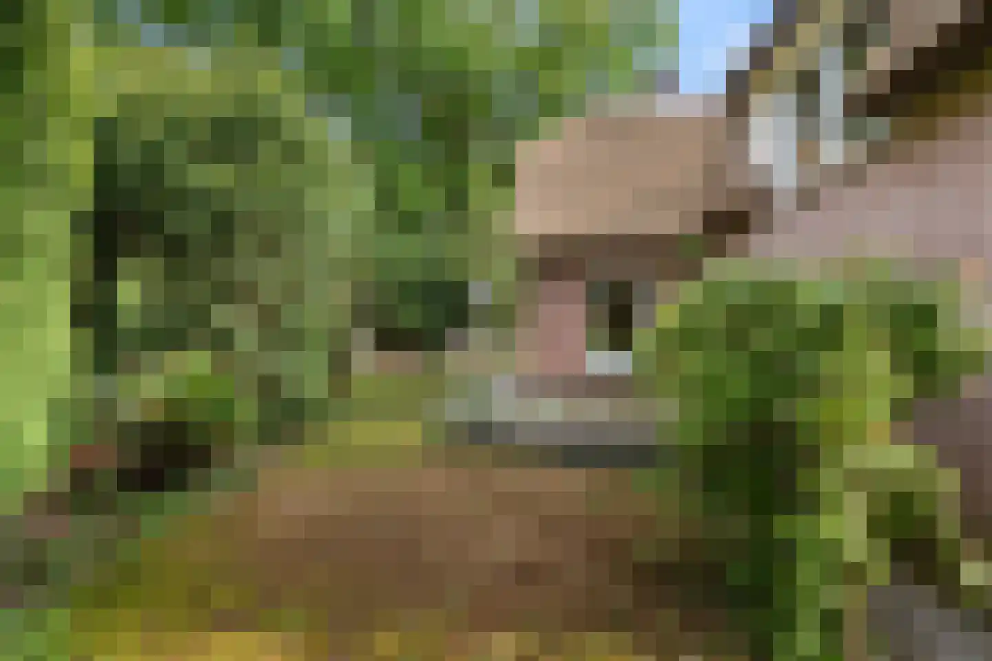 Bennekomseweg 4 Heelsum thumbnail 12