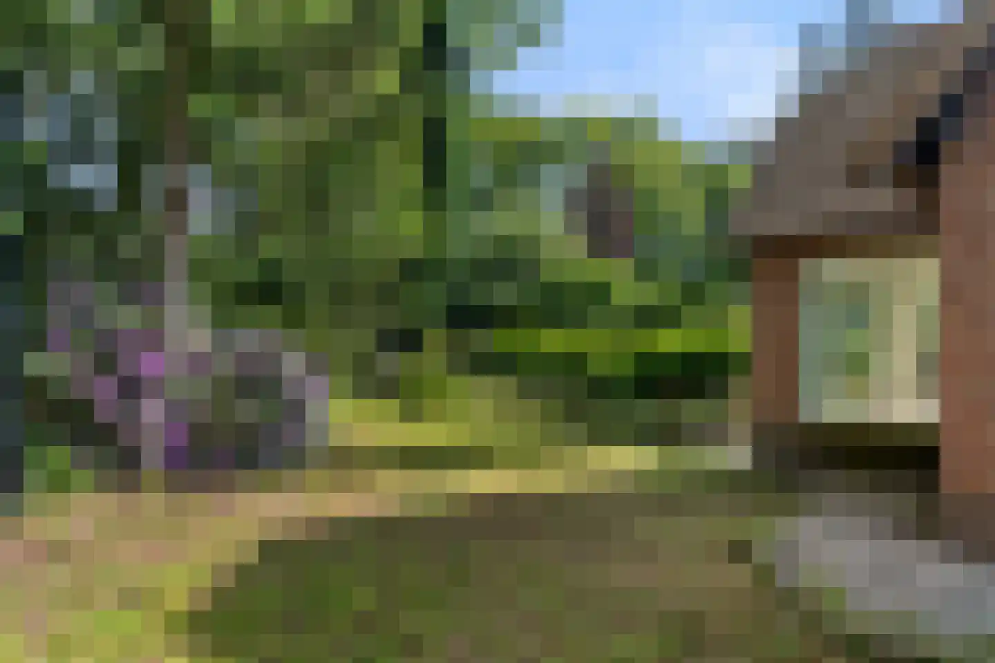 Bennekomseweg 4 Heelsum thumbnail 14
