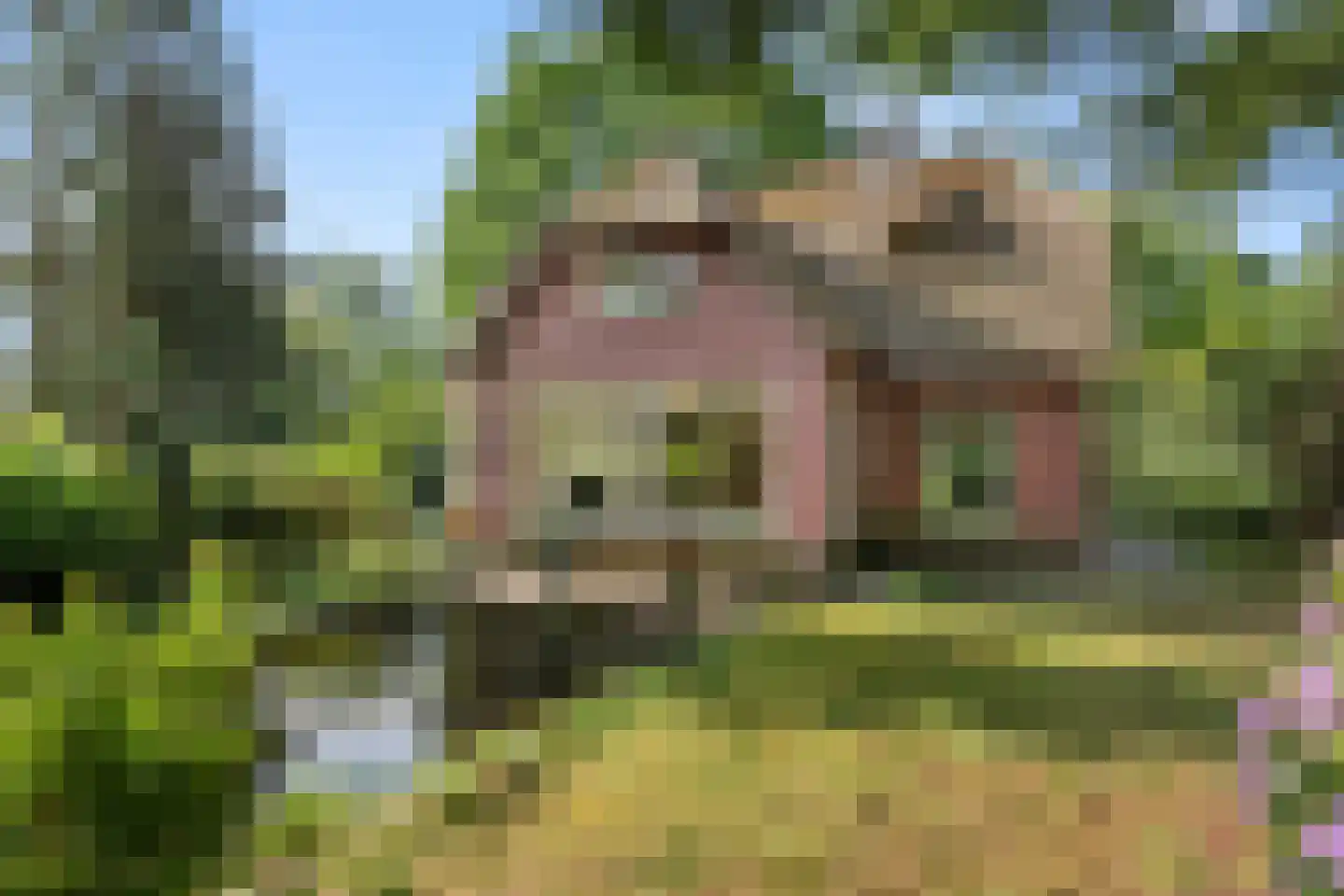 Bennekomseweg 4 Heelsum thumbnail 15
