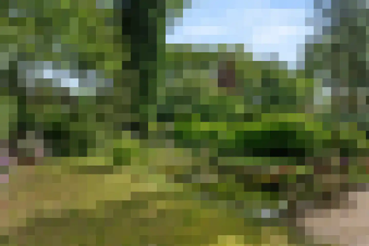 Bennekomseweg 4 Heelsum thumbnail 16