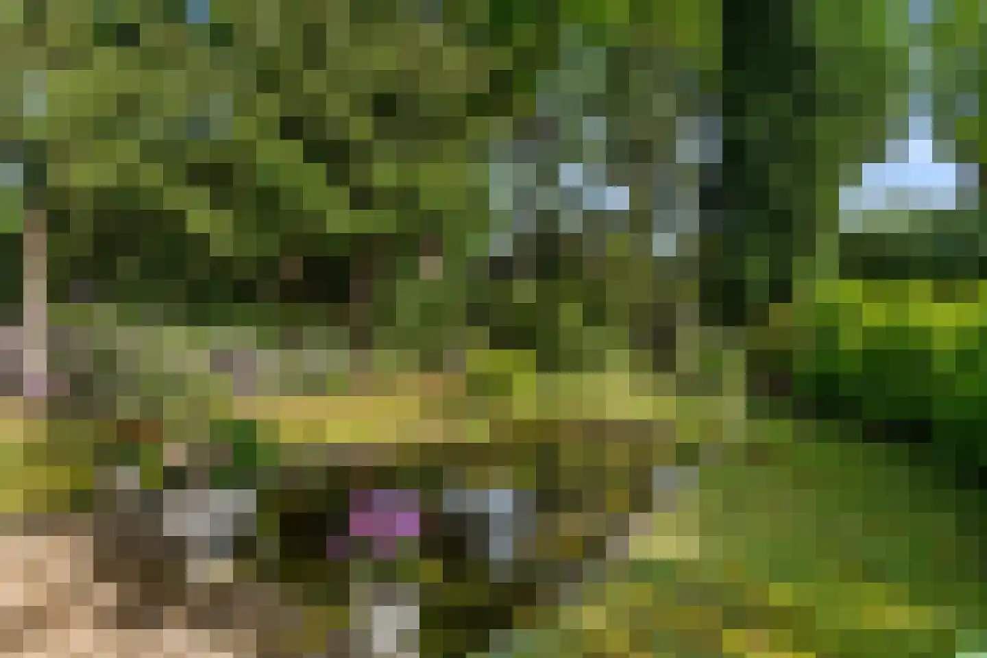 Bennekomseweg 4 Heelsum thumbnail 17