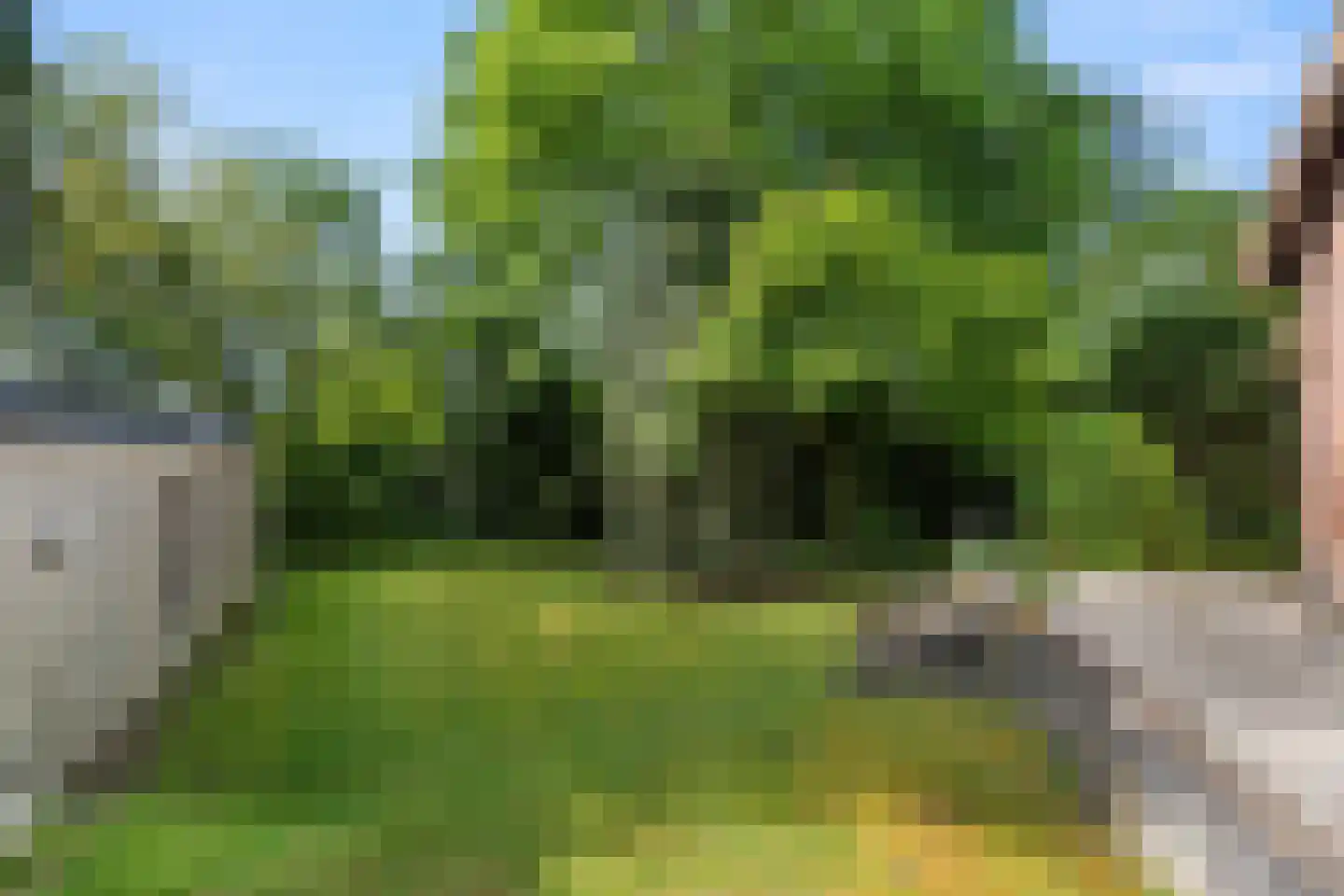Bennekomseweg 4 Heelsum thumbnail 18