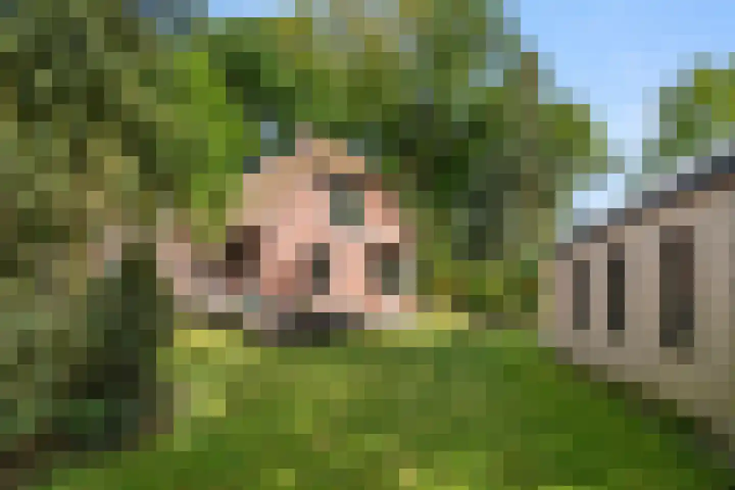 Bennekomseweg 4 Heelsum thumbnail 20