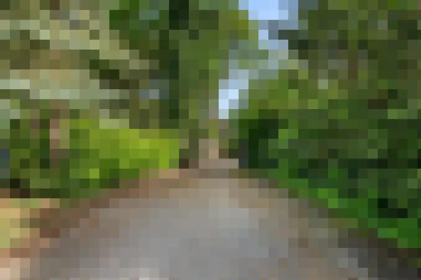 Bennekomseweg 4 Heelsum thumbnail 22