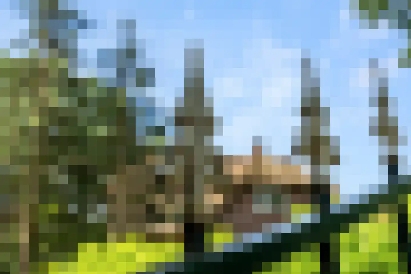 Bennekomseweg 4 Heelsum thumbnail 25