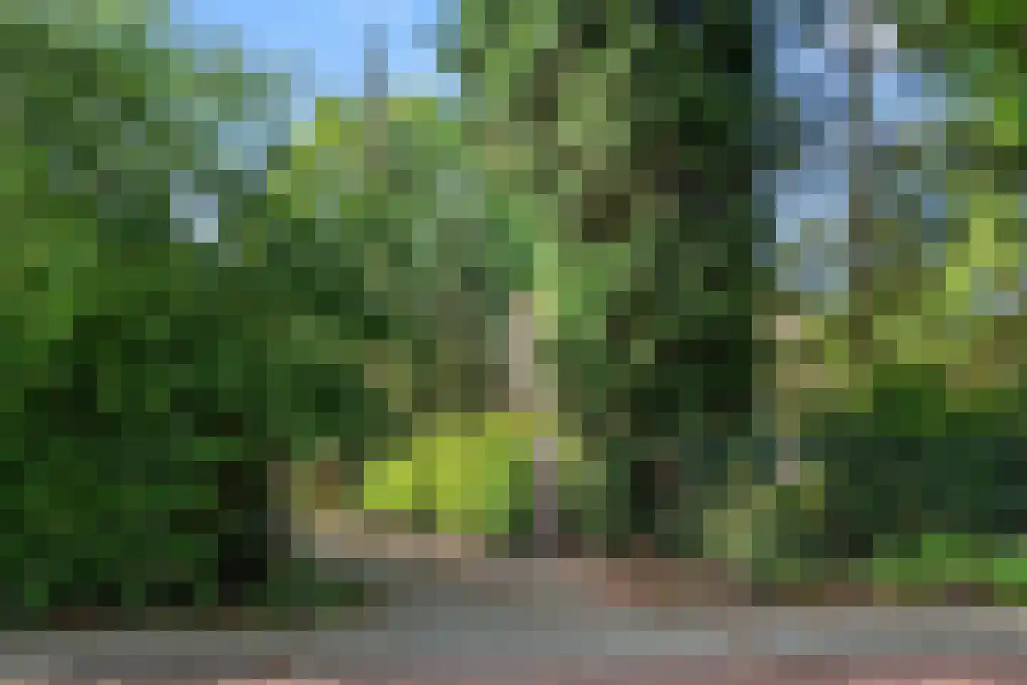 Bennekomseweg 4 Heelsum thumbnail 26
