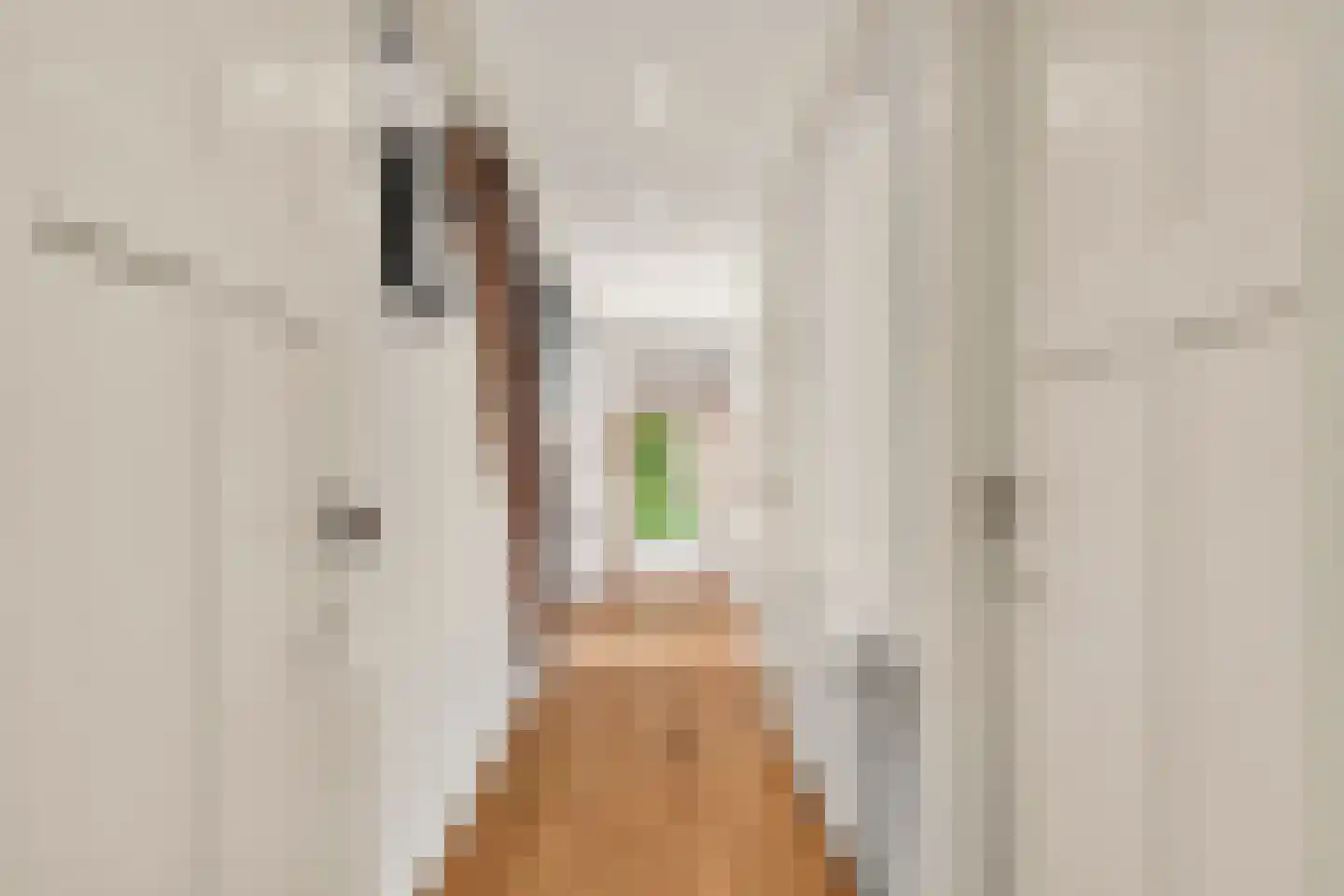 Bennekomseweg 4 Heelsum thumbnail 32