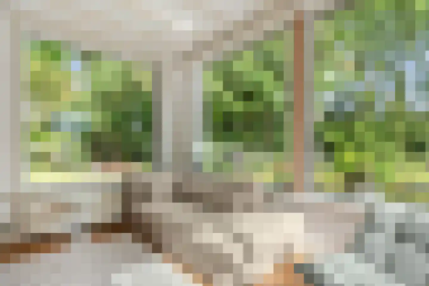 Bennekomseweg 4 Heelsum thumbnail 37