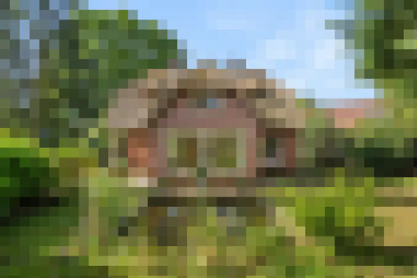 Bennekomseweg 4 Heelsum thumbnail 5