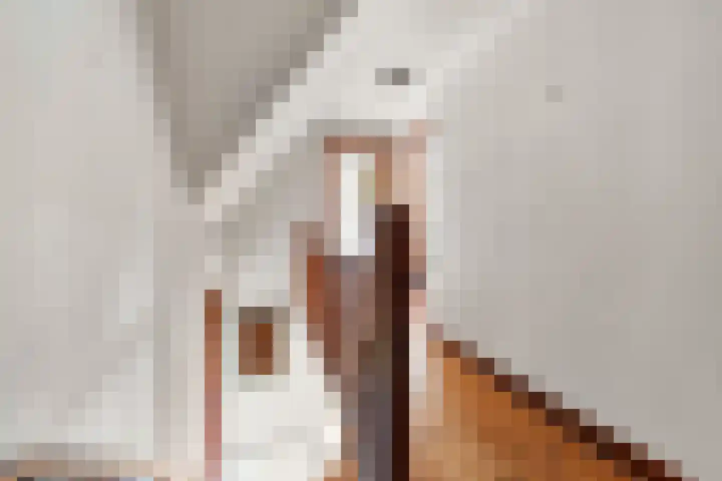 Bennekomseweg 4 Heelsum thumbnail 56