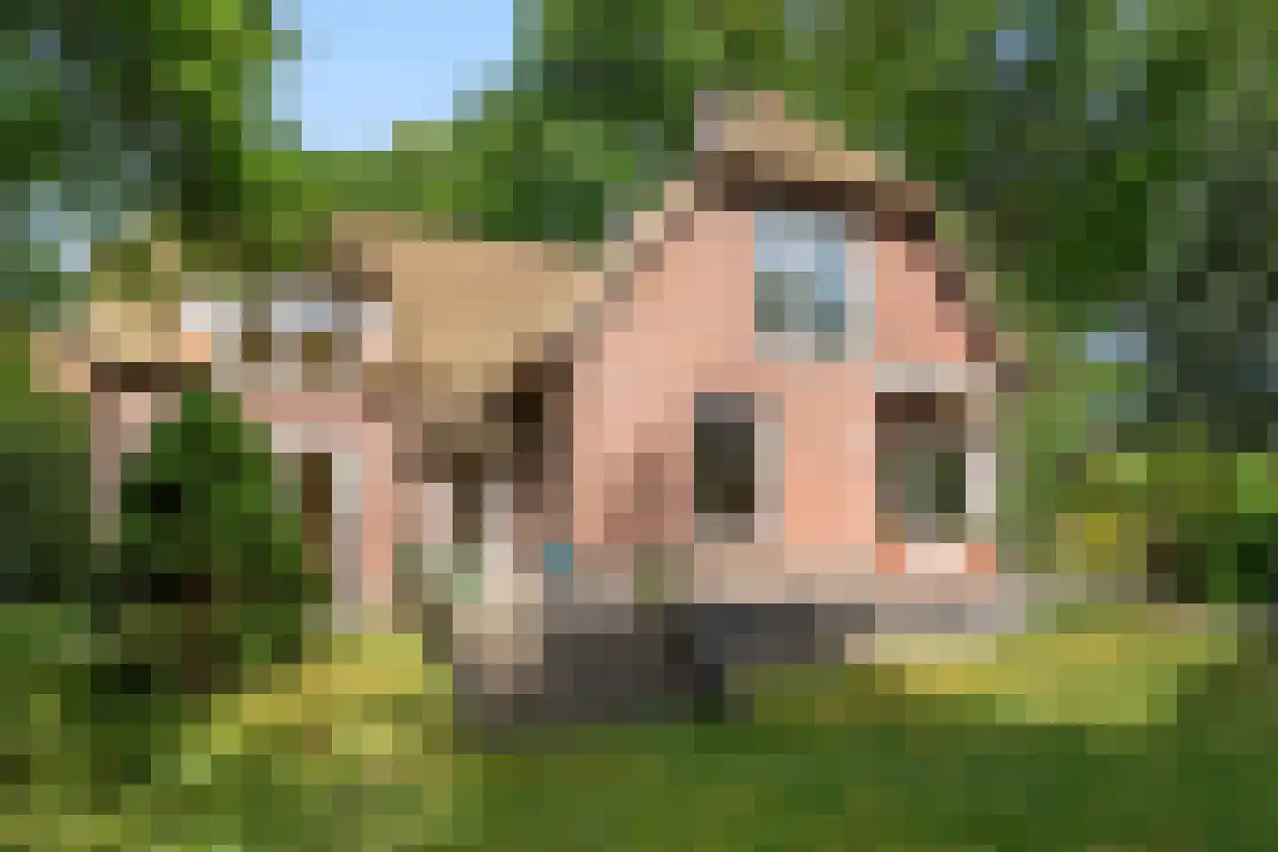 Bennekomseweg 4 Heelsum thumbnail 6