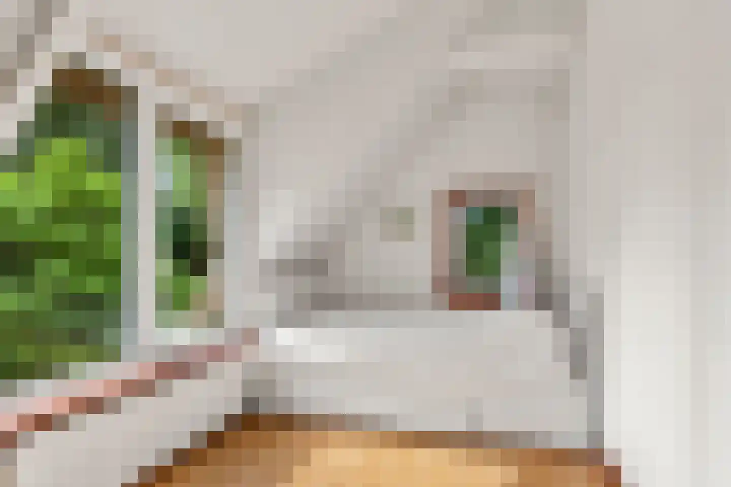 Bennekomseweg 4 Heelsum thumbnail 60