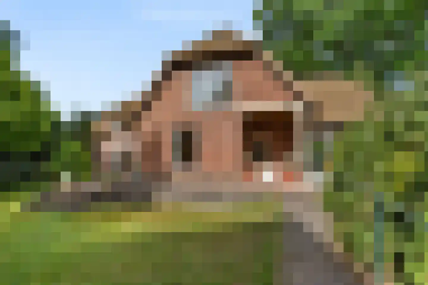 Bennekomseweg 4 Heelsum thumbnail 9