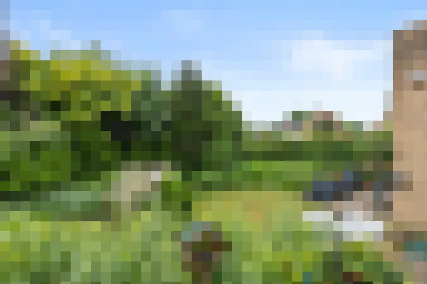 Bennekomseweg 98 Renkum thumbnail 10