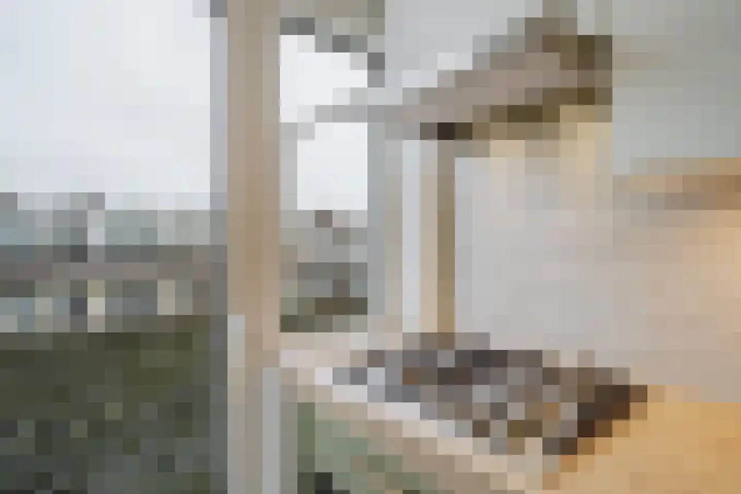 Bennekomstraat 29 Den Haag thumbnail 28