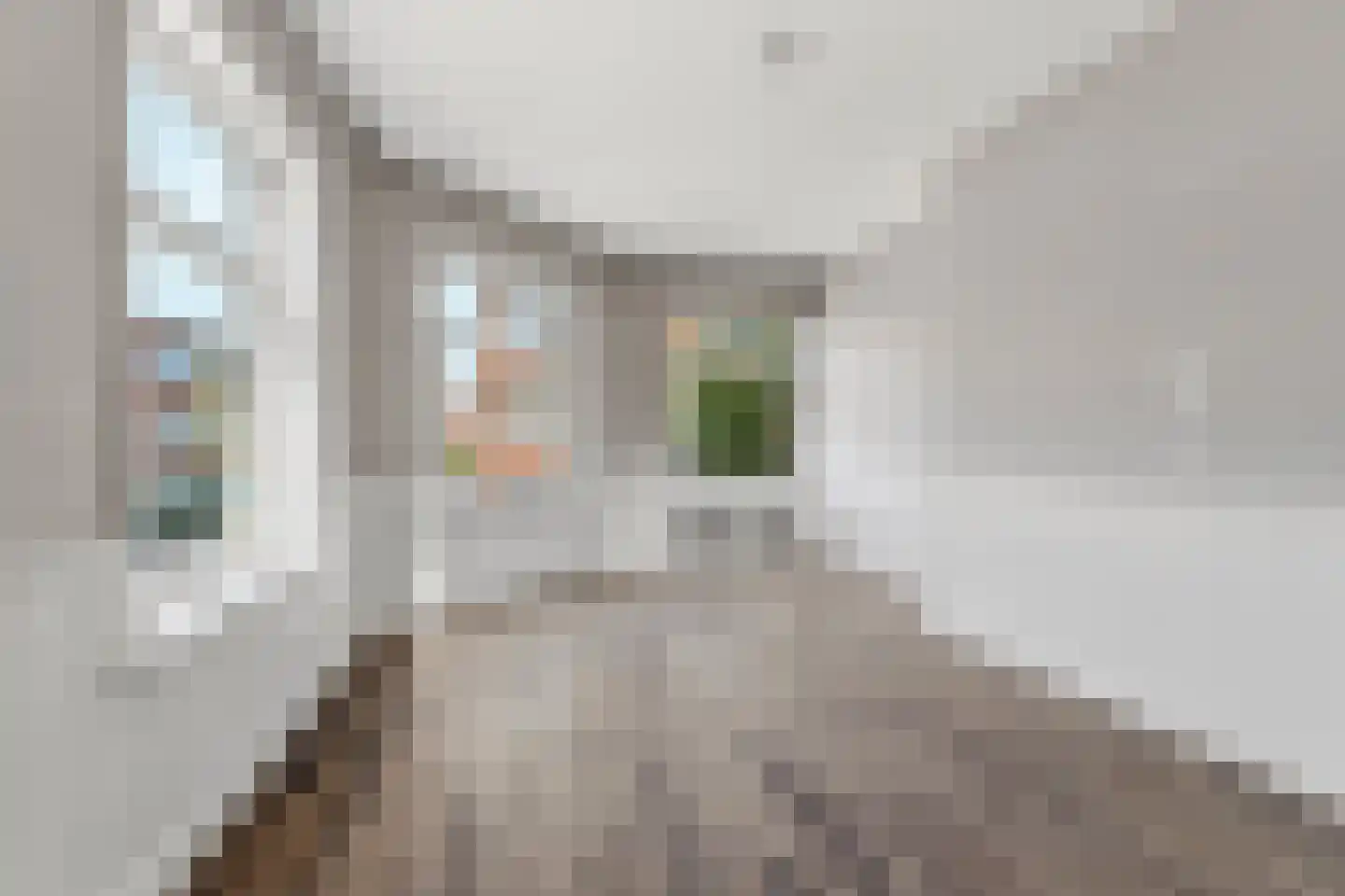 Bennekomstraat 3 Den Haag thumbnail 8