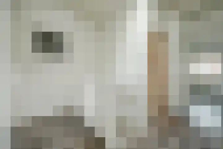 Bennekomstraat 43 Den Haag thumbnail 8