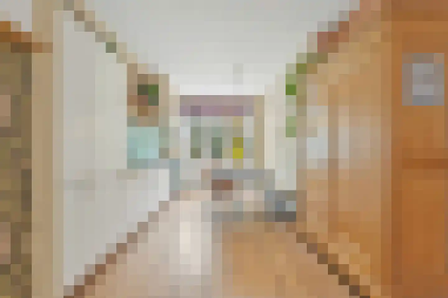 Bennekomstraat 87 Den Haag thumbnail 12