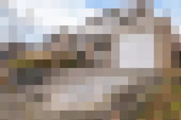 Bennemastate 7 Leeuwarden thumbnail 8