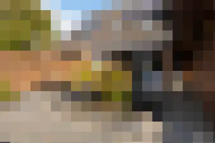 Bennemastate 9 Leeuwarden thumbnail 11