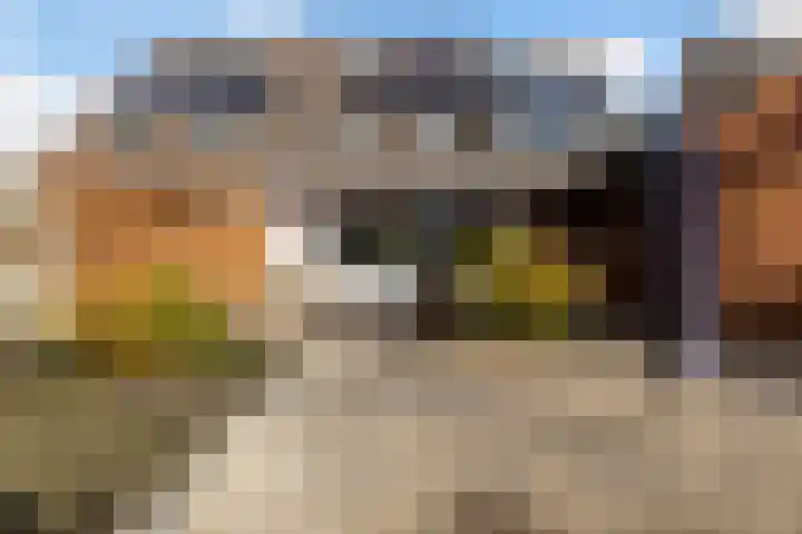 Bennemastate 9 Leeuwarden thumbnail 12
