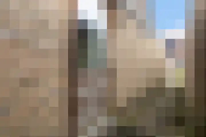 Bennemastate 9 Leeuwarden thumbnail 8