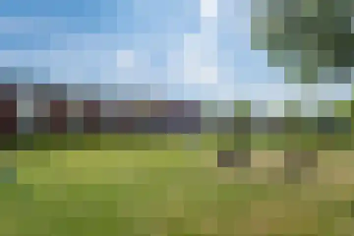 Bennerpark 4 Leeuwarden thumbnail 55