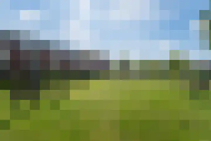 Bennerpark 4 Leeuwarden thumbnail 56