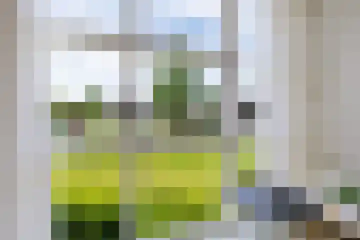Bennerpark 6 Leeuwarden thumbnail 5