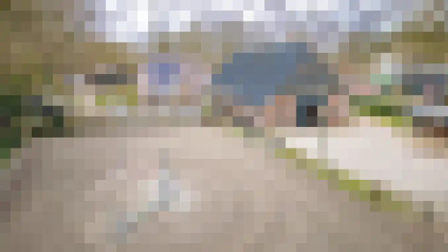 Bennevelderstraat 18 Benneveld thumbnail 7
