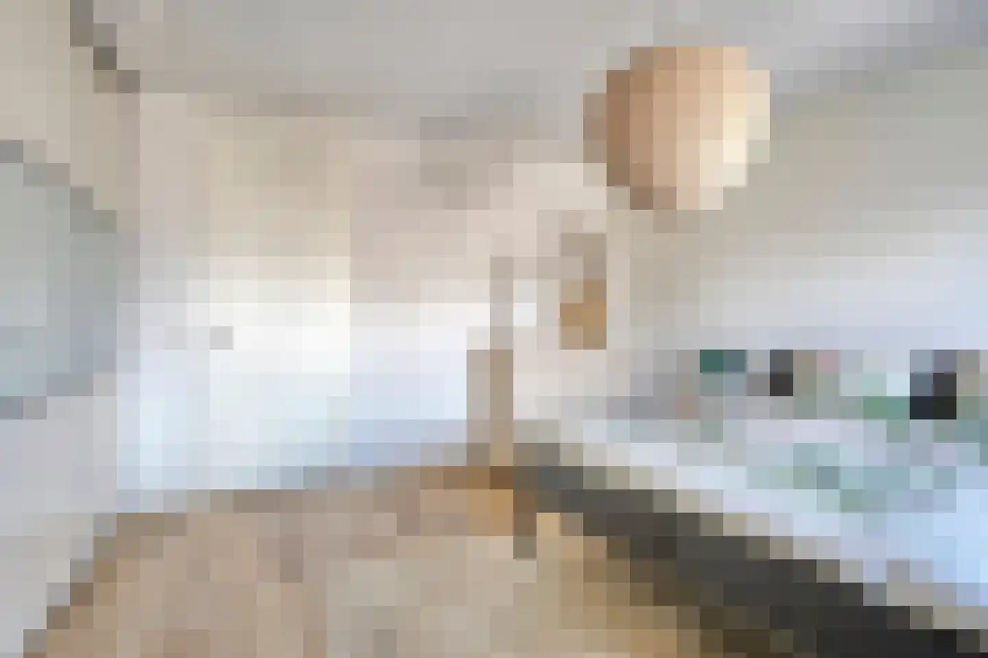 Benningskamplaan 1 Uitgeest thumbnail 16