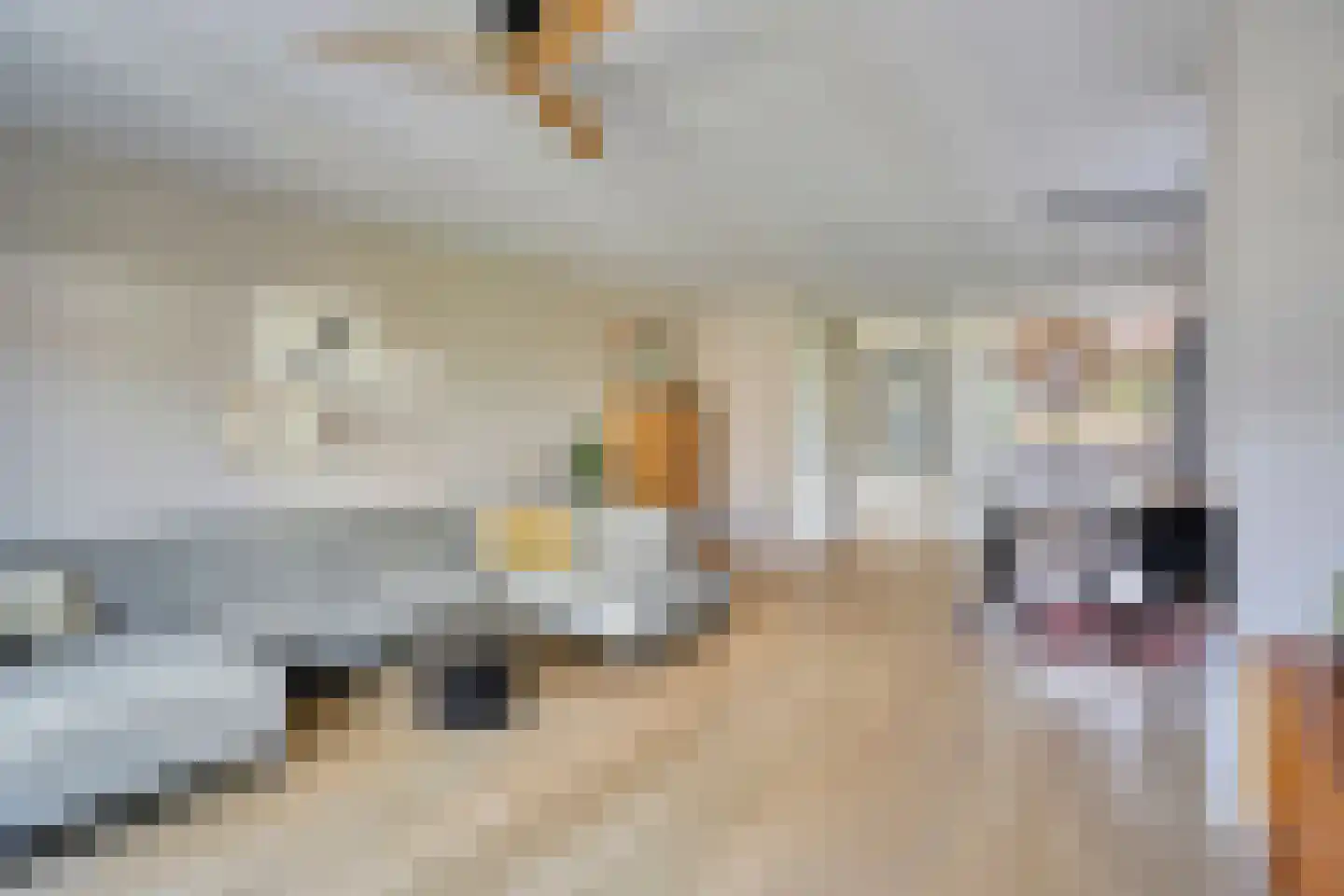 Benningskamplaan 1 Uitgeest thumbnail 6