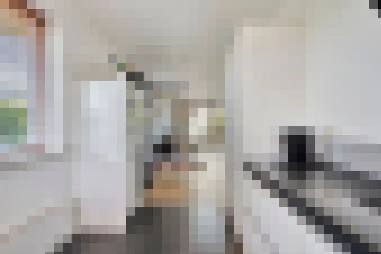 Benningskamplaan 1 Uitgeest thumbnail 9