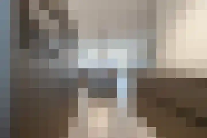Benningskamplaan 33 Uitgeest thumbnail 10