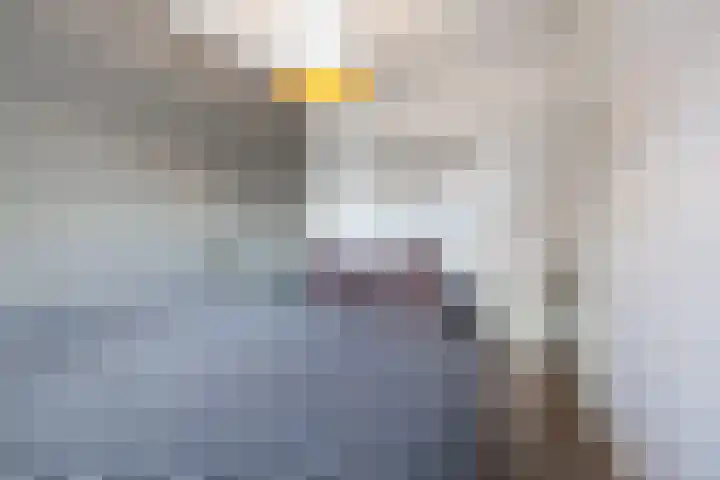 Benningskamplaan 33 Uitgeest thumbnail 15