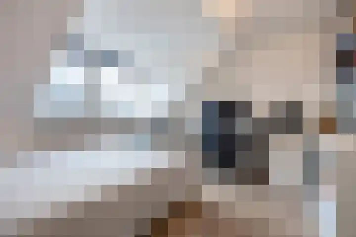 Benningskamplaan 33 Uitgeest thumbnail 24