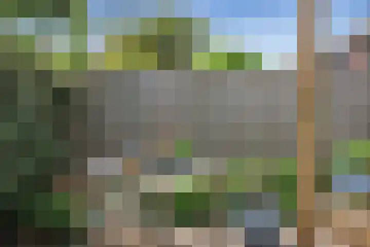Benningskamplaan 51 Uitgeest thumbnail 14