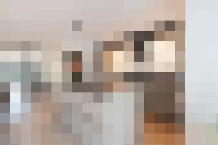 Benningskamplaan 51 Uitgeest thumbnail 9