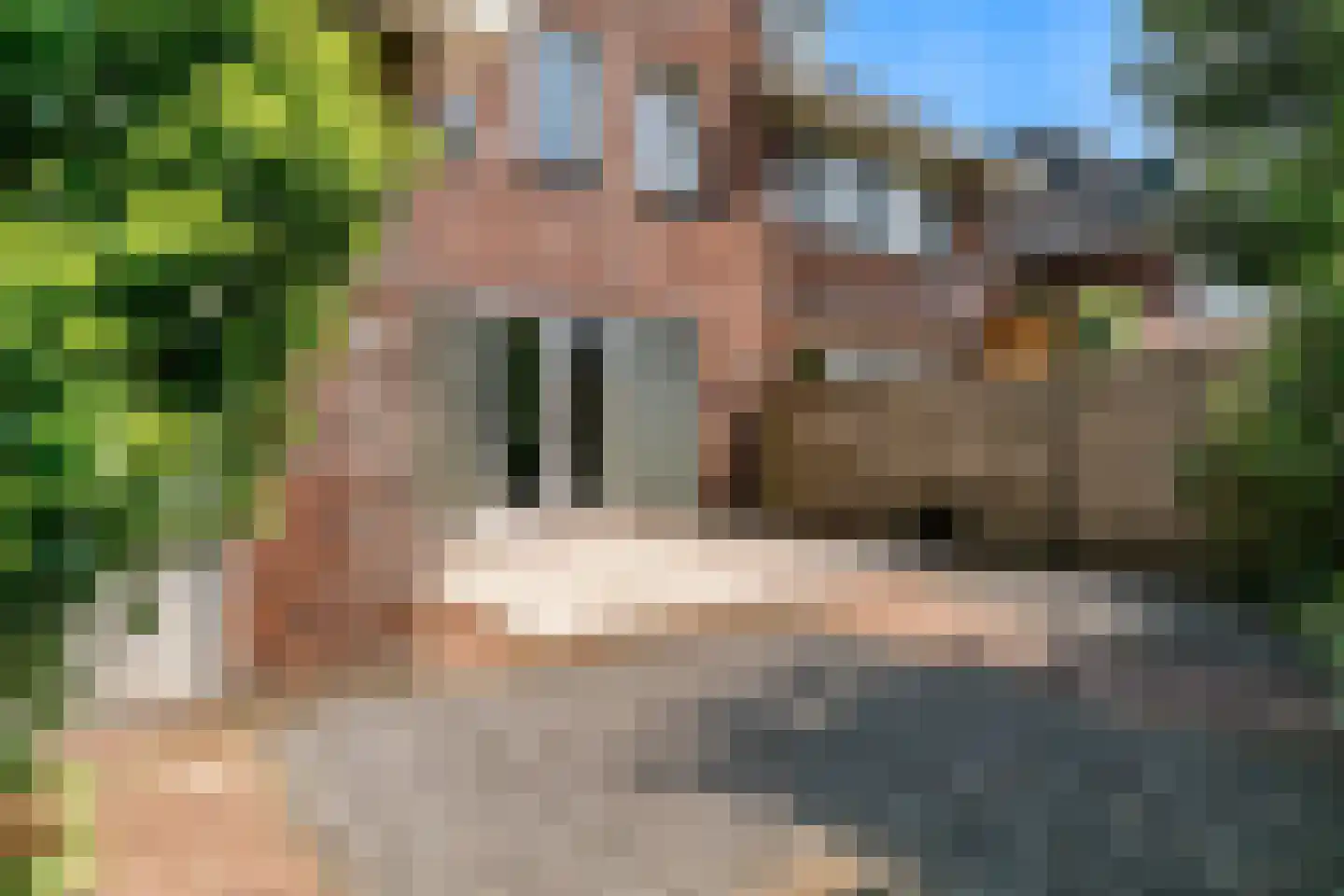Benningskamplaan 74 Uitgeest thumbnail 13