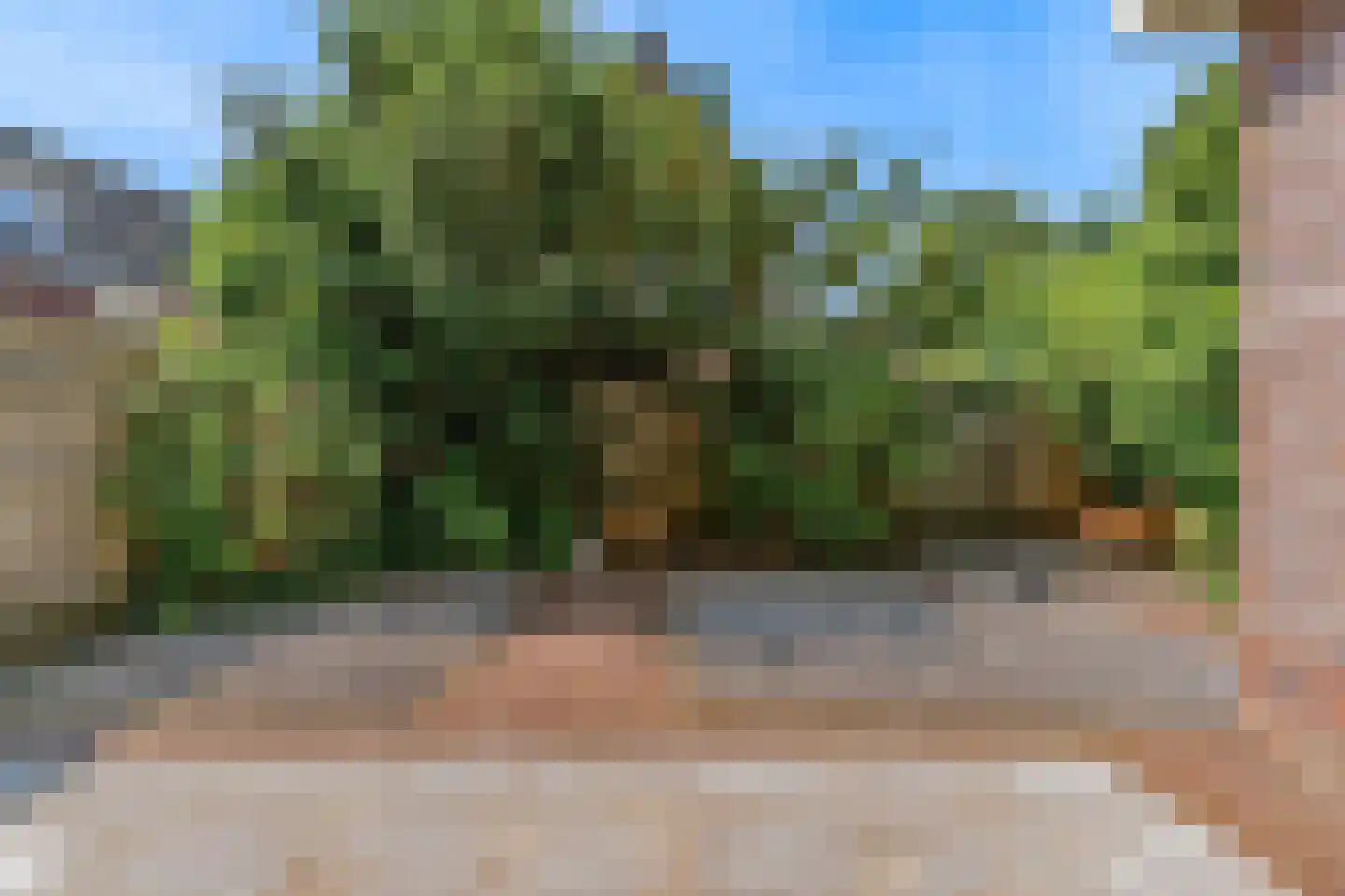 Benningskamplaan 74 Uitgeest thumbnail 14