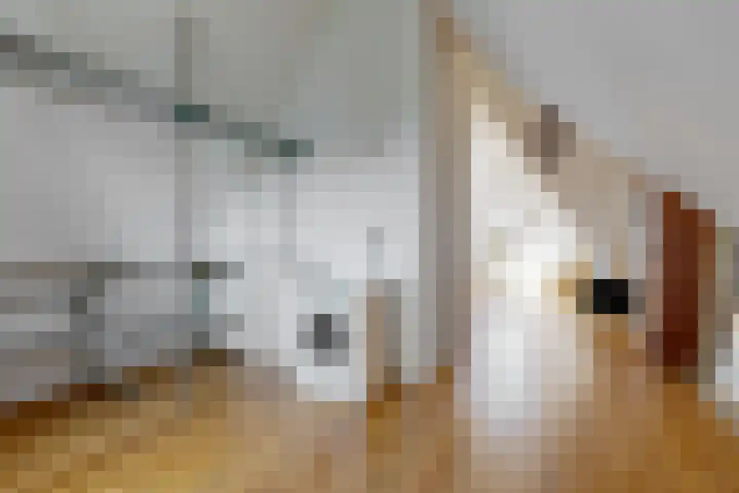 Benningskamplaan 74 Uitgeest thumbnail 29
