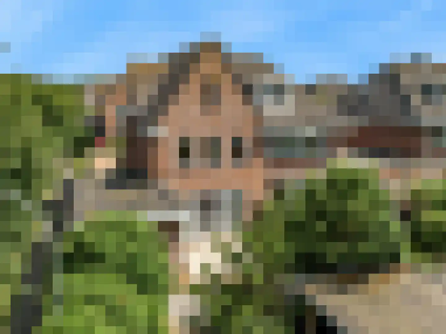 Benningskamplaan 74 Uitgeest thumbnail 33