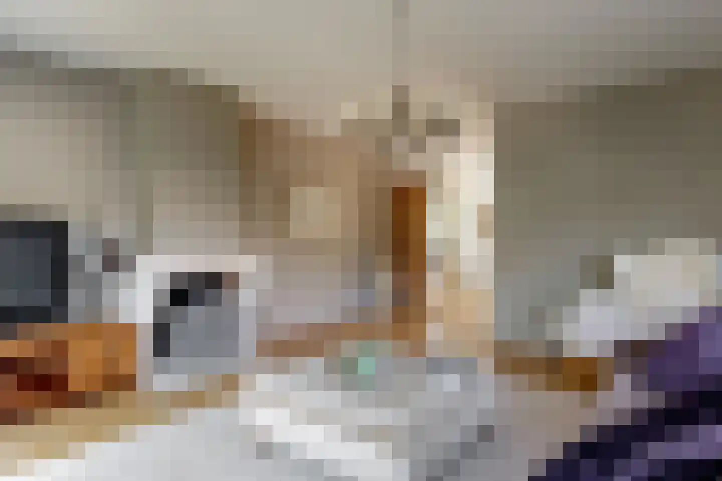 Benningskamplaan 74 Uitgeest thumbnail 4
