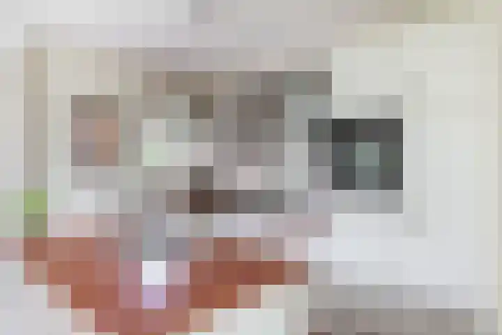 Benningskamplaan 84 Uitgeest thumbnail 11