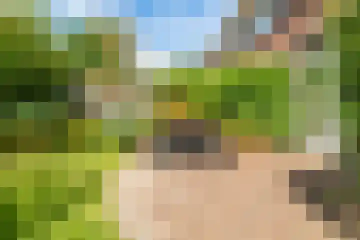Benningskamplaan 84 Uitgeest thumbnail 20