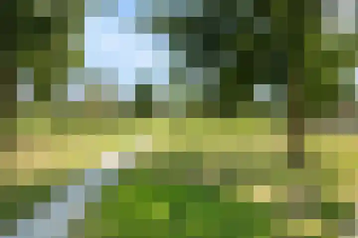 Benningskamplaan 84 Uitgeest thumbnail 42